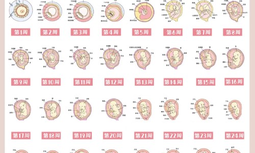 食管反流病人吃什么食物好网 - 为你提供食管反流病人吃什么食物好一点、食管反流应该吃些什么东西
