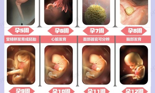 食管反流病人吃什么食物好网 - 为你提供食管反流病人吃什么食物好一点、食管反流应该吃些什么东西